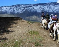 Promenade à cheval dans l'Altai