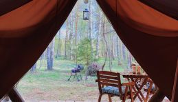Camping autour de Moscou - Glamping région de Tver - Kamenetskie Kupeli